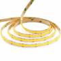LED TRAKA FCOB-378LED 6400K  IP20 12V