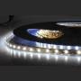 LED TRAKA 3528  4.8W/1M  3000K/6400K