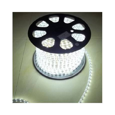 LED TRAKA 220V