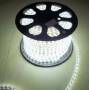 LED TRAKA 220V